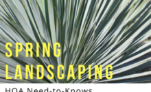 HOA Spring Landscaping