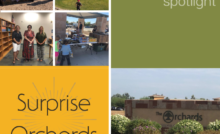 Surprise Orchards HOA Managed by Planned Development Services