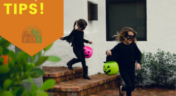 Stay Safe this Halloween!